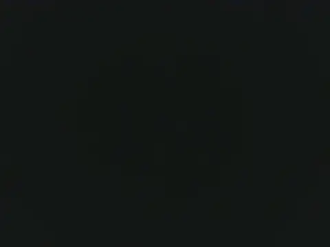 Tamil_Thenmozhi webcam