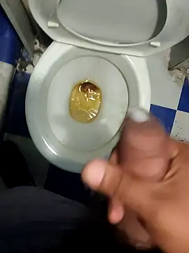 pedritolobito webcam