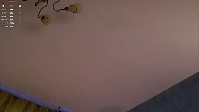 AunclreaVache webcam