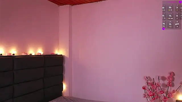 kathieandpovcock1 webcam