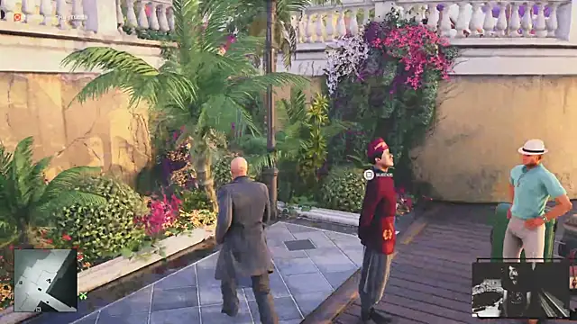 Rocker_Assassin_WASP_FAN webcam