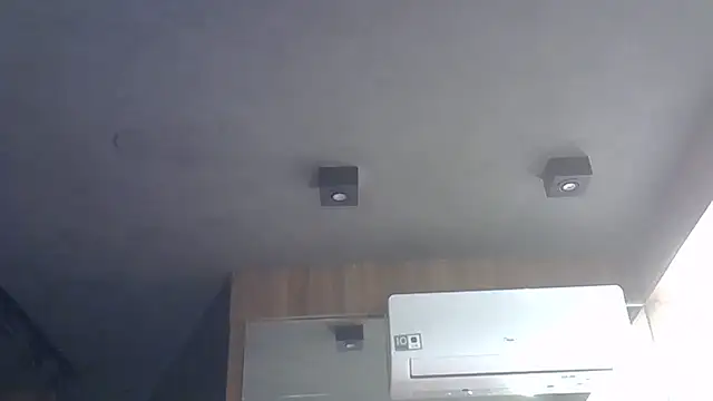 SkinnyKitten webcam