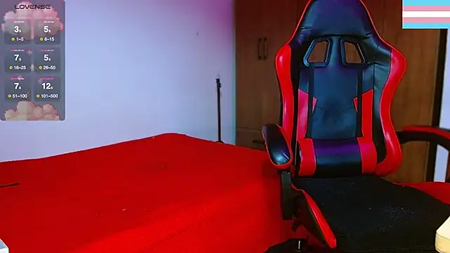 Hgp3riodictabl3 webcam