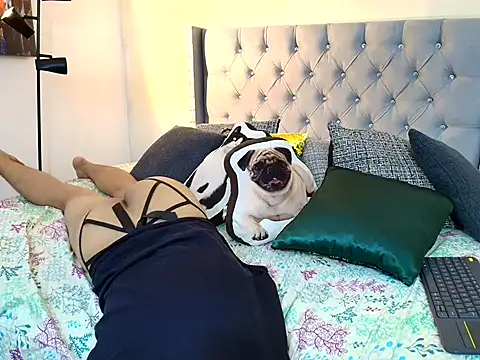 stewart_mateo_ webcam