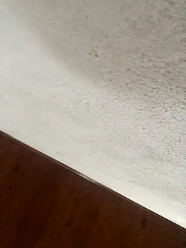 rosaditapussy webcam