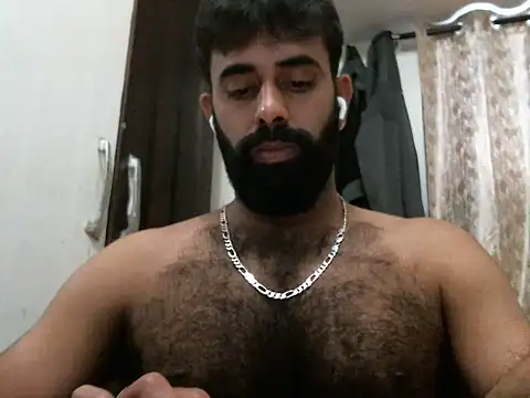 indianhairybull webcam