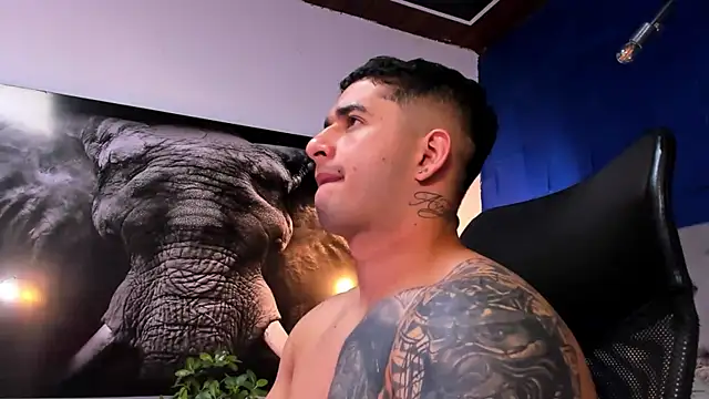 king_falconer webcam