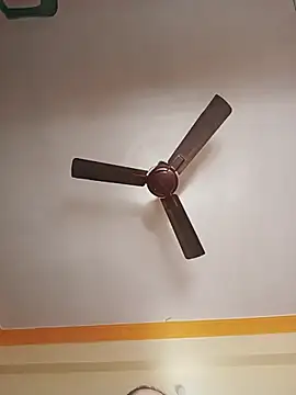 NishaNayakTelugu webcam