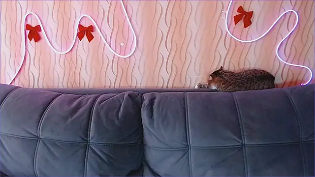 Find_My_Grace webcam