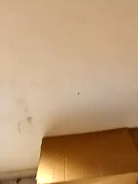 desi_alpha_boy webcam