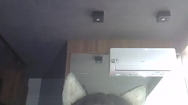 SkinnyKitten webcam