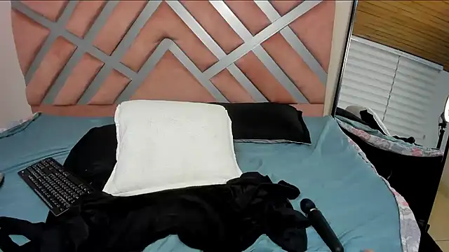 pamela_anderson_ webcam