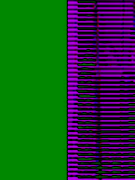 miafresa_hot (F young) - YES EAT MY ASS DADDY🎁💜20,111,222,333