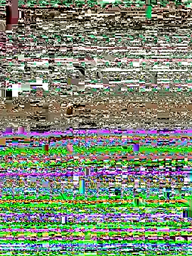 fatfabulous1981 webcam