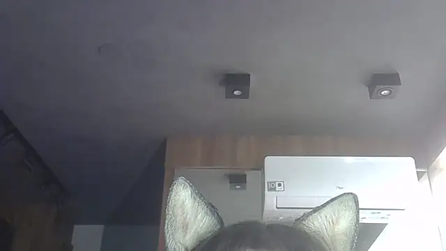 SkinnyKitten webcam