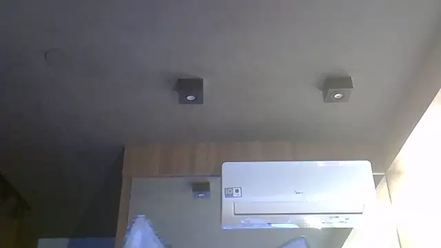 SkinnyKitten webcam