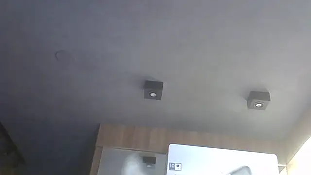 SkinnyKitten webcam
