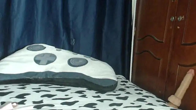 Michi_sauria1 webcam