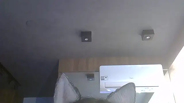 SkinnyKitten webcam
