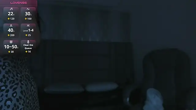 Kendall_Evanss webcam