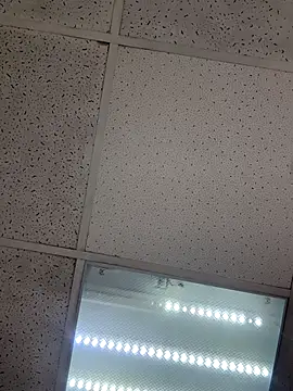 AlishaOfThorns webcam