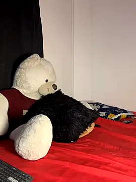 Henry_villa23 webcam