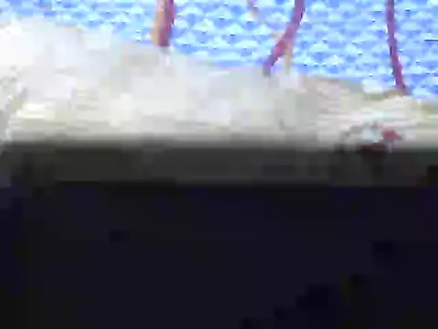 Stubborndesiboy webcam