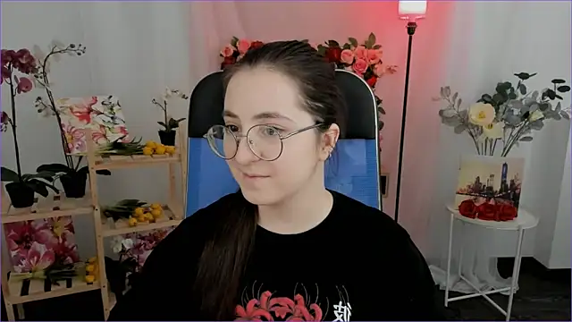 VirtuallVoyant webcam