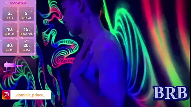 DominicPrince webcam