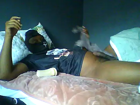 TitularAdaption webcam