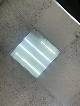 AlishaOfThorns webcam