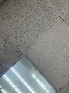 AlishaOfThorns webcam