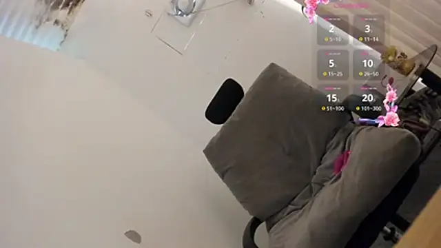 Transuncutjelay webcam