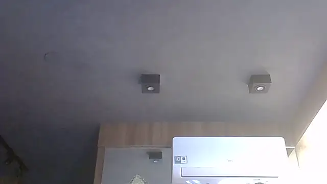 SkinnyKitten webcam