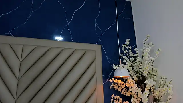 Ibbie_drastic webcam