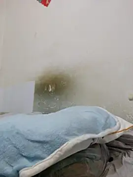 _kaixin_ (M young) - #asian #big-ass #big-balls #black-hair #cam2cam #cheap-privates #chinese #dirty-talk #doggy-style #ejaculation #facesitting #foot-fetish #handjob #hd #medium #mobile #orgasm #pov #recordable-privates #recordable-publics #sexting #shaven #shower #small-audience #small-cock #straight #striptease #trimmed #young