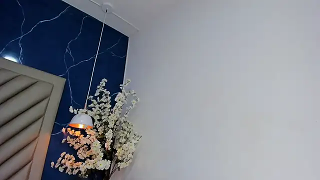 Ibbie_drastic webcam