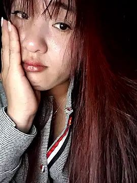 Linksys_nicee webcam