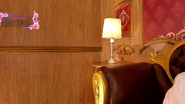 Helenstanford webcam