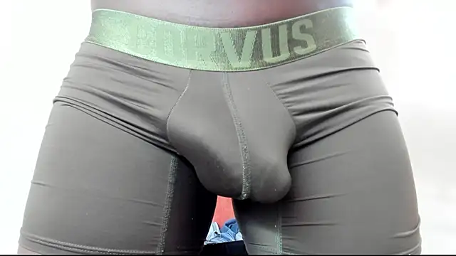 Black_Master19cm webcam