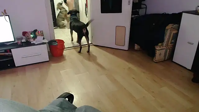 Aliens4twenty webcam