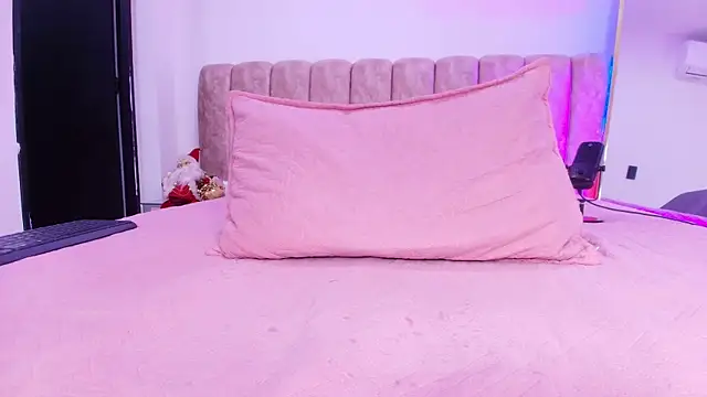 Auroraa_miller webcam