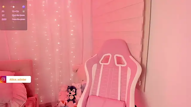 Alice_winter_ webcam