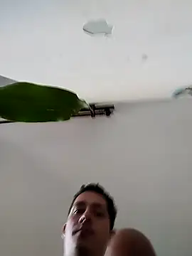 Logan_hetero1 webcam