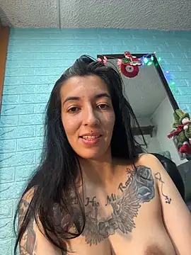 SALOME_KORLAND webcam