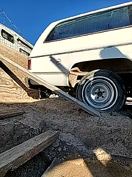 TranSexualJade95 webcam