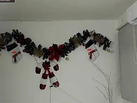 jeanfran_ferrer webcam