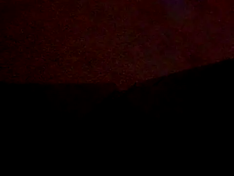 Thickwhitetight webcam