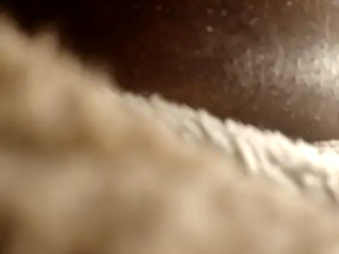 seductivescamp webcam