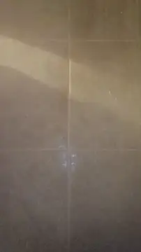 whitetrashdirtyslut webcam